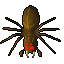 old spider